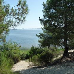 Lac de lacanau : venez faire du canoé